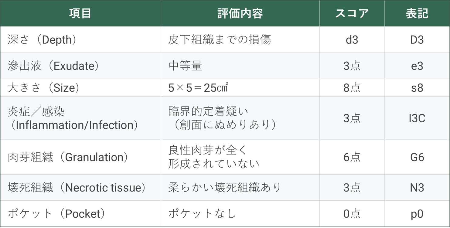 Design R Tool 【褥瘡重症度評価】DESIGN-R2020とは【点数の付け方は】 | リハビリくん