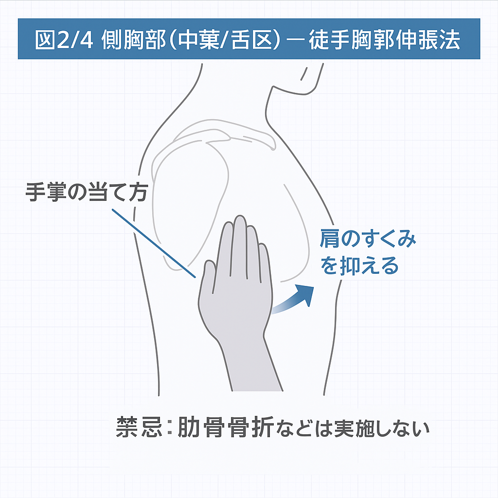 徒手胸郭伸張法 図2/4 側胸部（中葉・舌区）：肩のすくみを抑え、外上方へベクトル