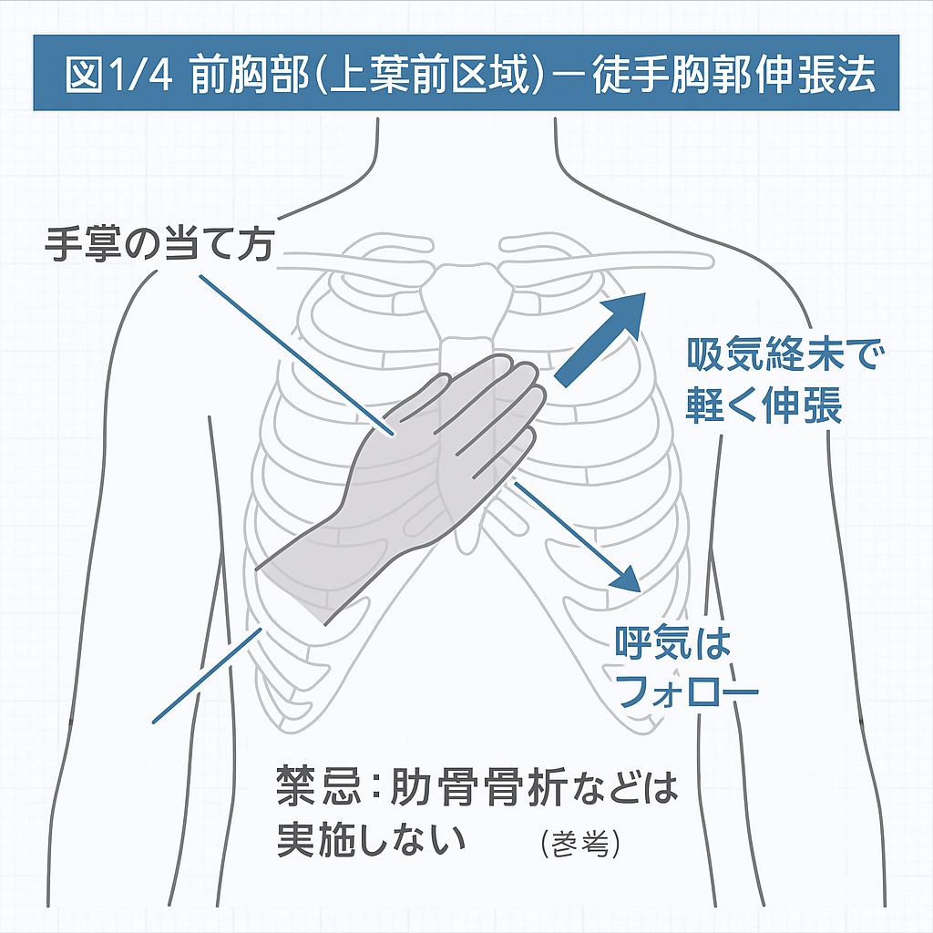 徒手胸郭伸張法 図1/4 前胸部（上葉前区域）：吸気終末で軽く伸張、呼気はフォロー