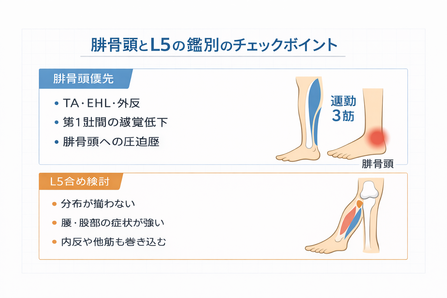 腓骨頭障害のリハビリの流れ（装具調整&rarr;筋再教育&rarr;歩行訓練&rarr;再発予防）と再評価のポイント