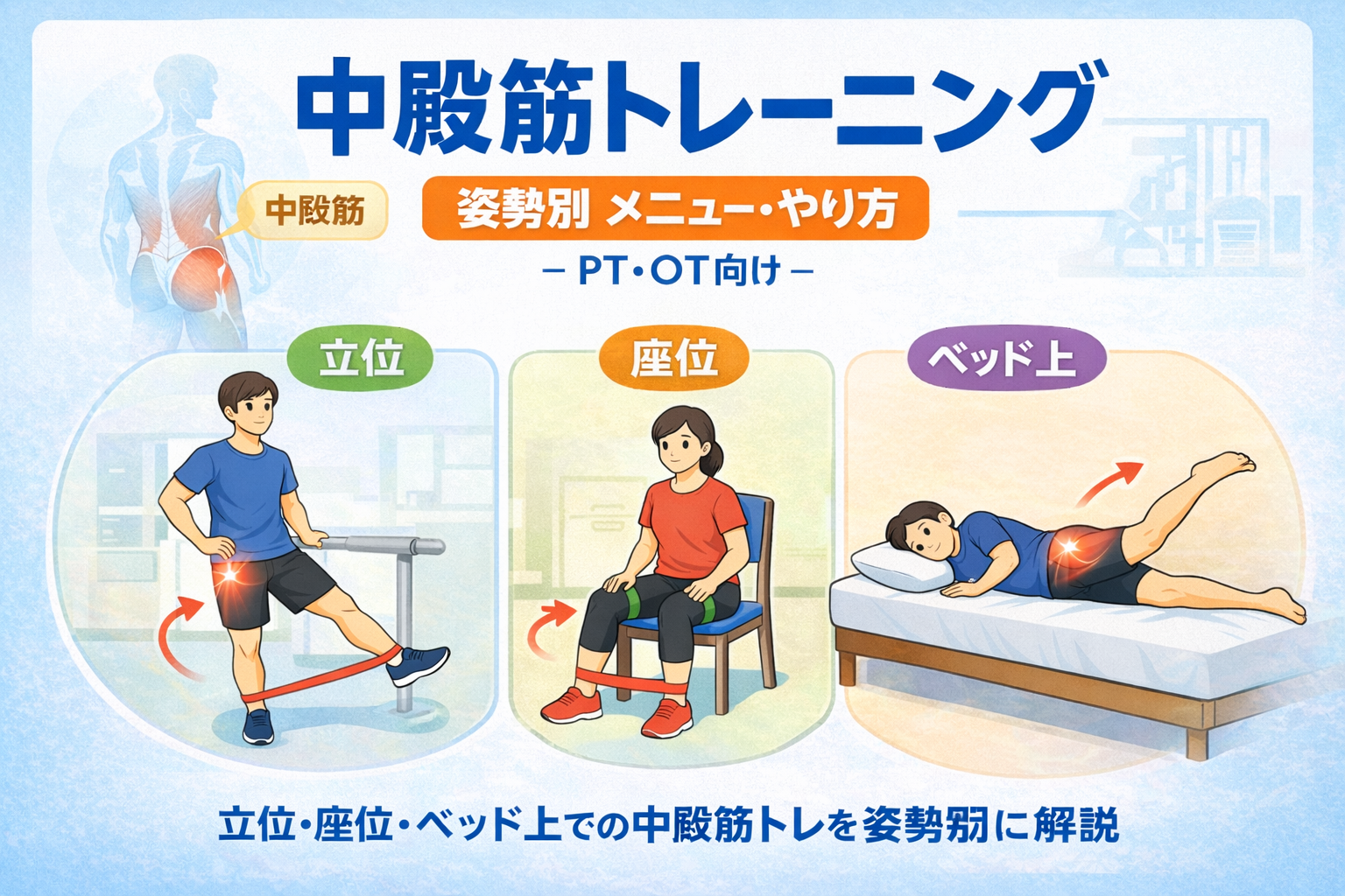 中殿筋トレーニングの姿勢別図解（立位・座位・ベッド上）