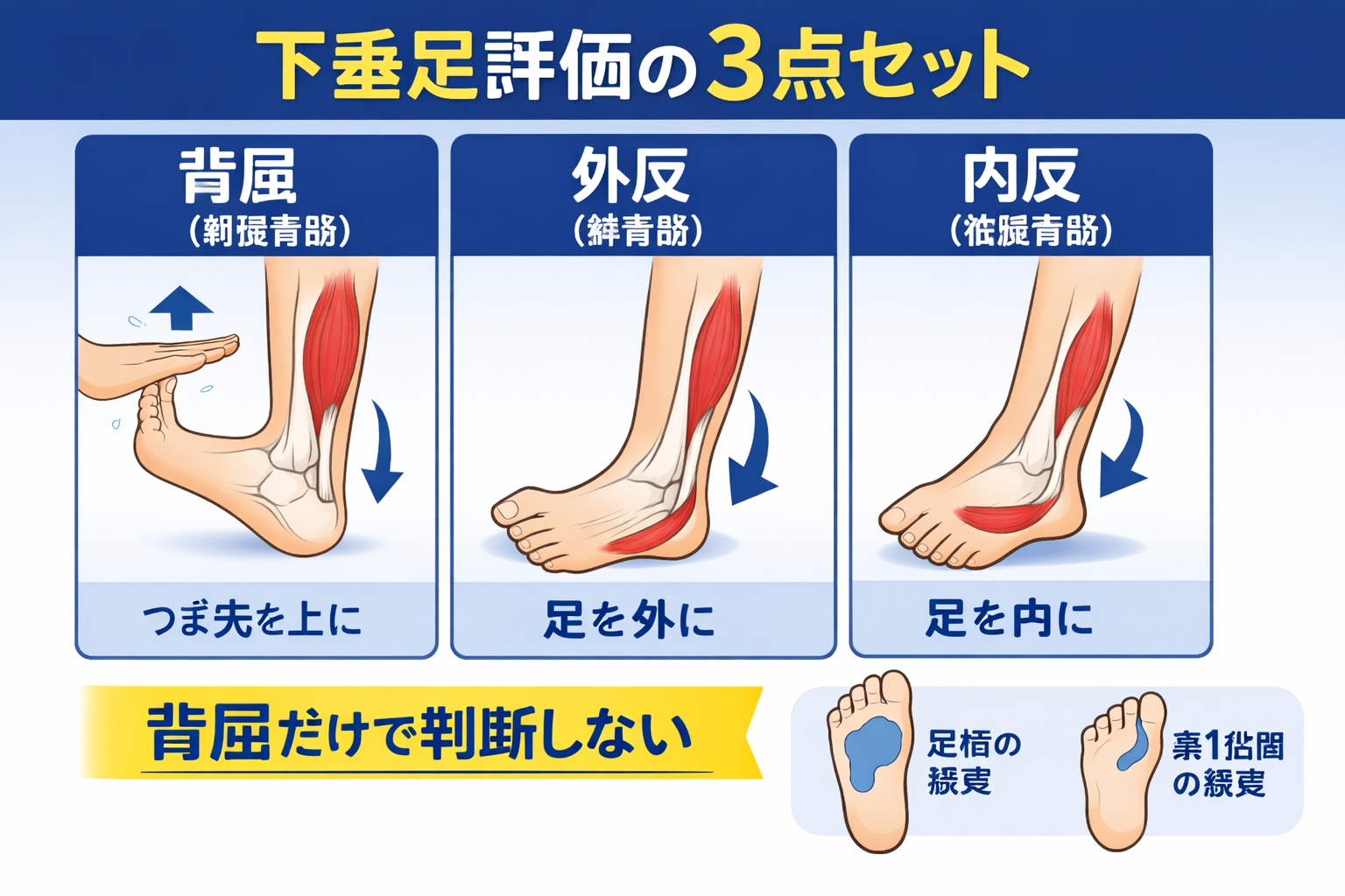 下垂足評価の3点セット（背屈・外反・内反）と感覚確認の要点