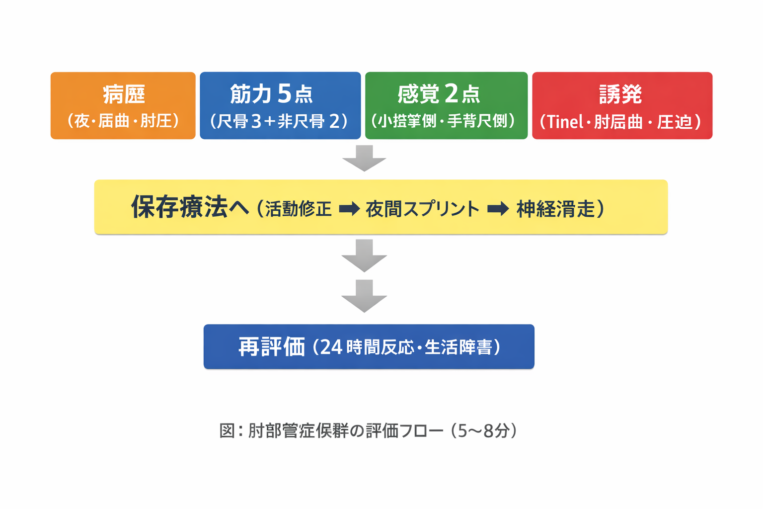 肘部管症候群の保存療法優先順位（活動修正・夜間スプリント・神経滑走・巧緻再学習）
