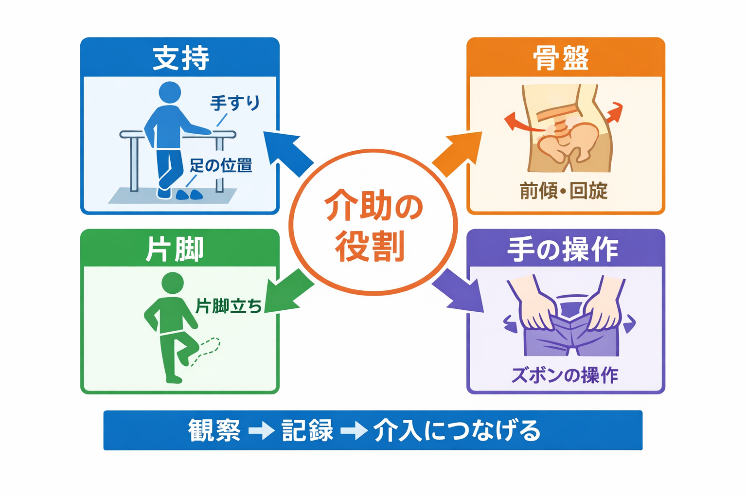 ズボン上げ下ろし動作の4要素（支持・骨盤・片脚・手の操作）と介助の役割を示す概念図