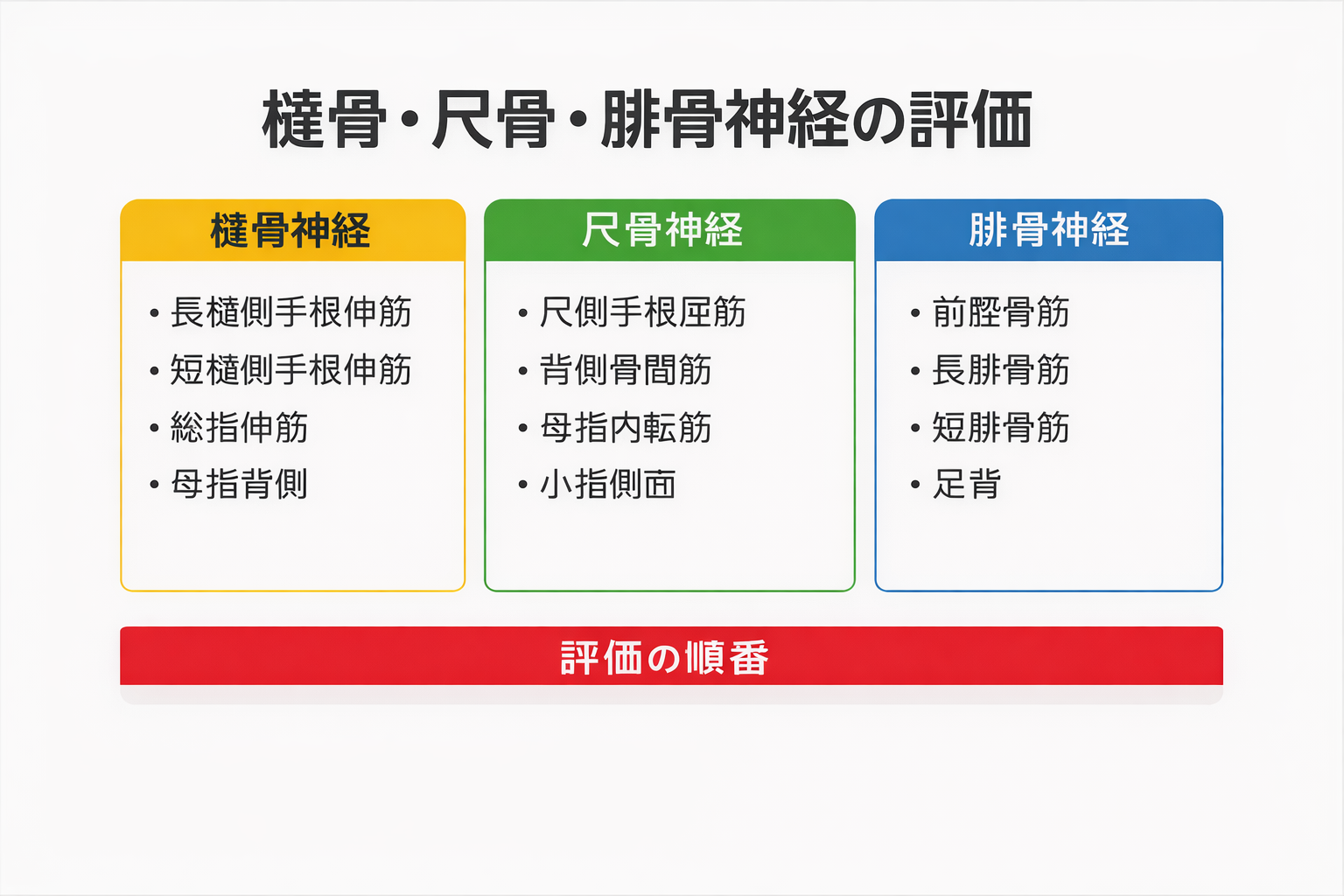 脳卒中と迷う末梢神経麻痺（橈骨・尺骨・腓骨）を最小セットで整理する図