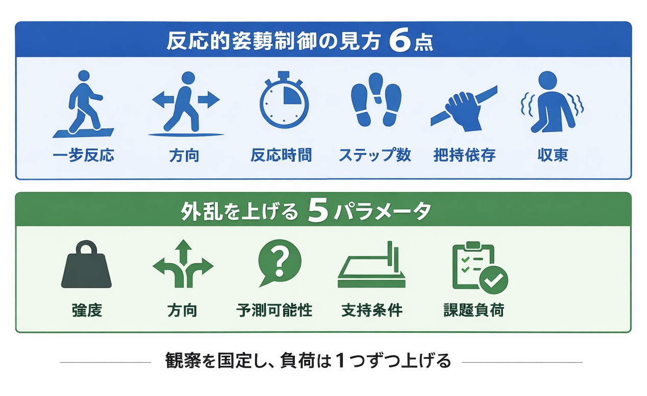 反応的姿勢制御の見方 6 点と外乱を上げる 5 パラメータをまとめた図版