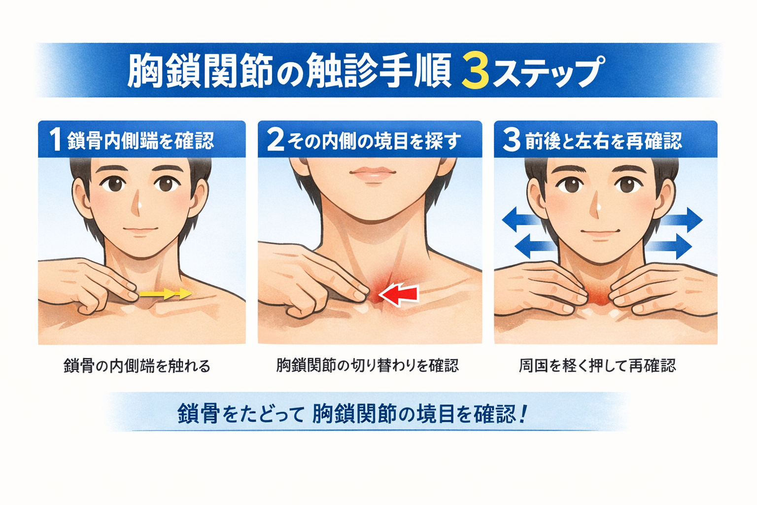 胸鎖関節の触診手順 3 ステップを示した図版