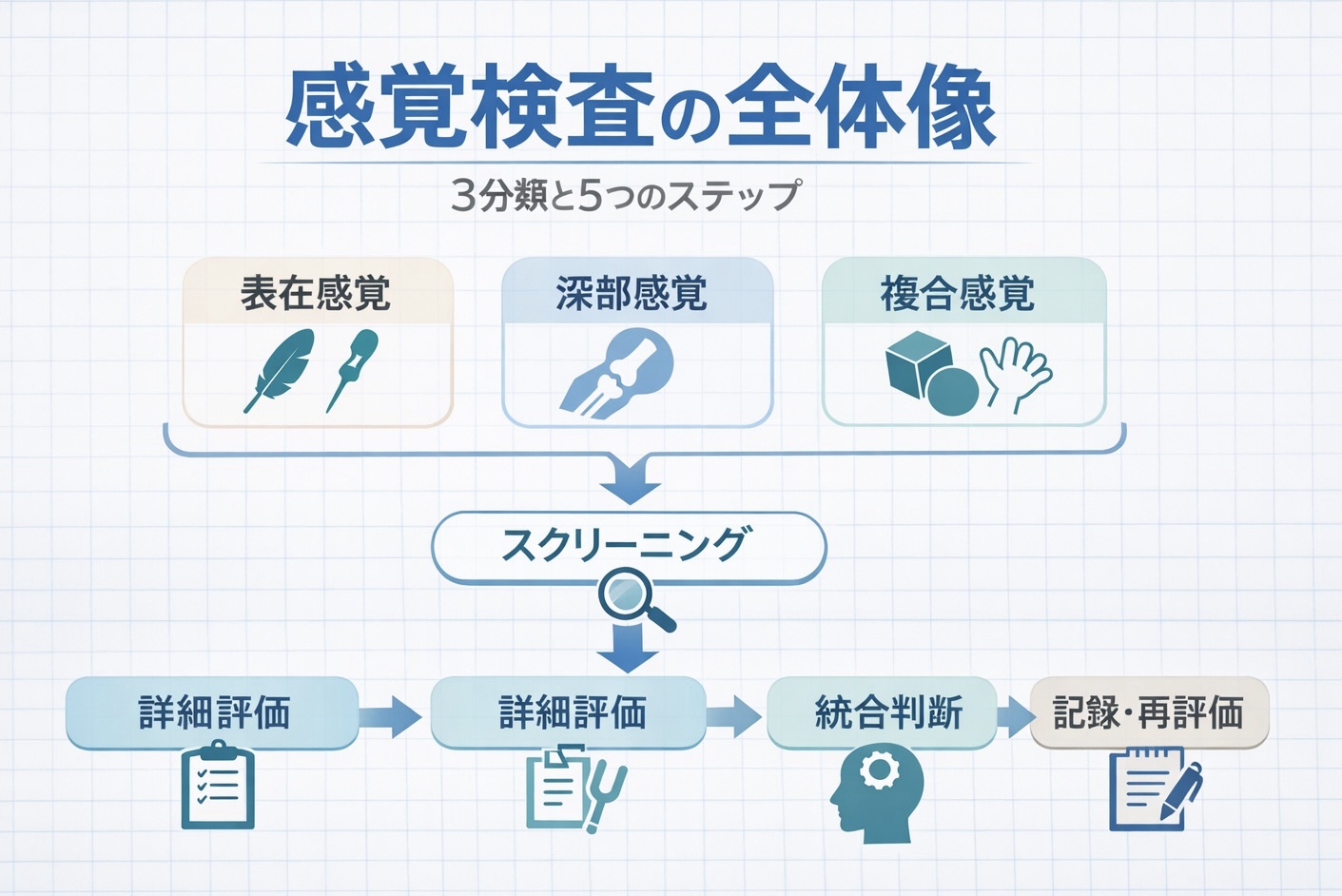 感覚検査の全体像を示した図解。表在感覚・深部感覚・複合感覚の 3 分類と、スクリーニングから記録・再評価までの 5 ステップをまとめた図。