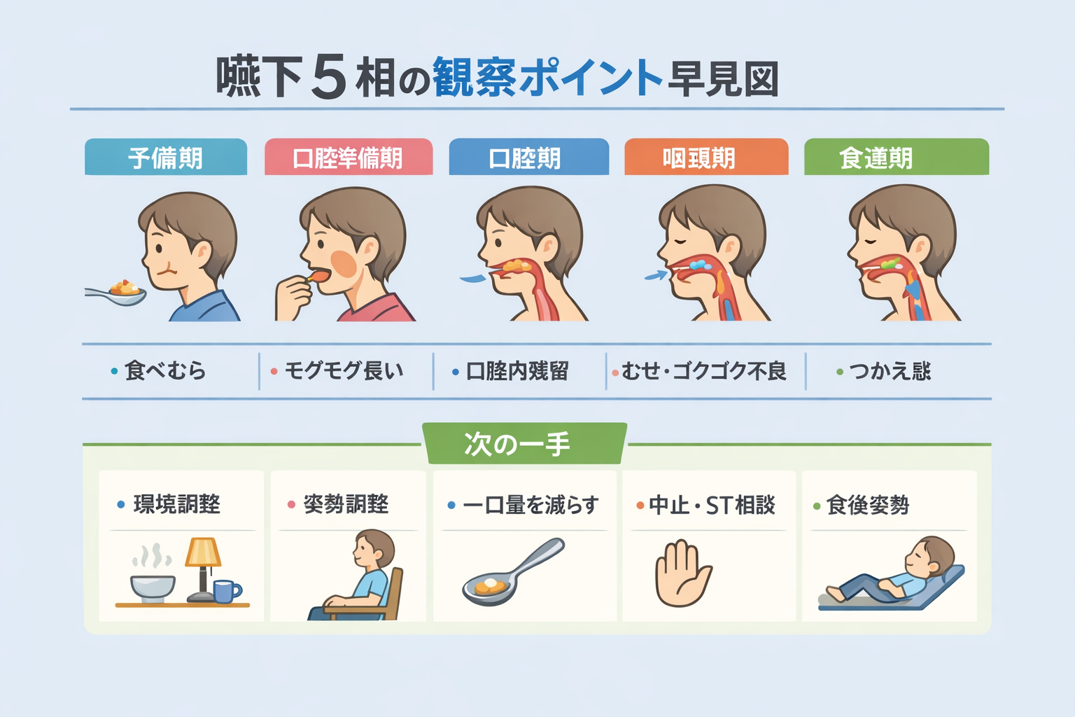 嚥下 5 相の観察ポイント早見図
