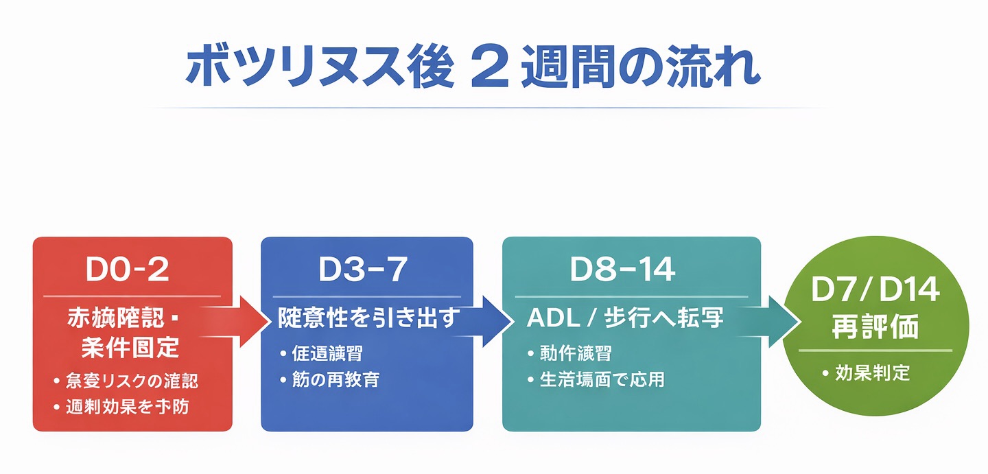 ボツリヌス後 2 週間の流れを示した図版