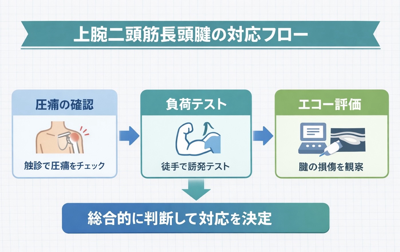 上腕二頭筋長頭腱の位置と周辺解剖を示した図版