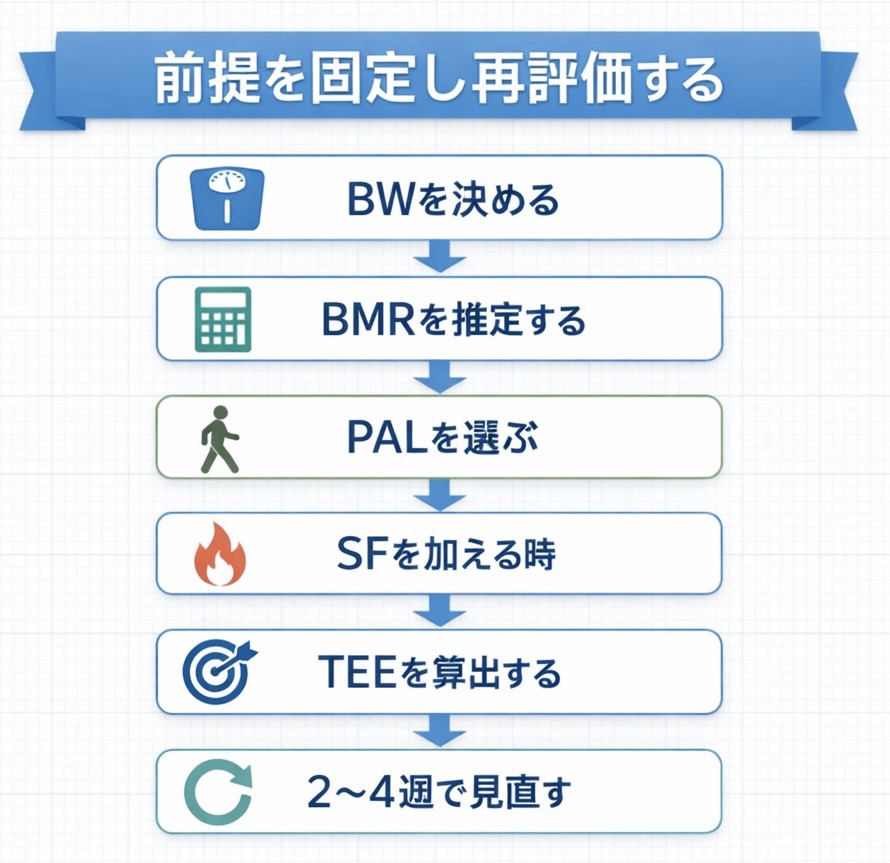 前提を固定し再評価する： BW &rarr; BMR &rarr; PAL &rarr; SF &rarr; TEE &rarr; 2〜4 週で見直し（フロー図）