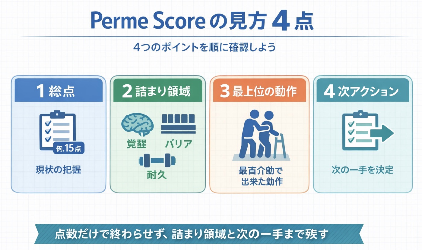 Perme Score の見方 4 点を整理した記事内図版