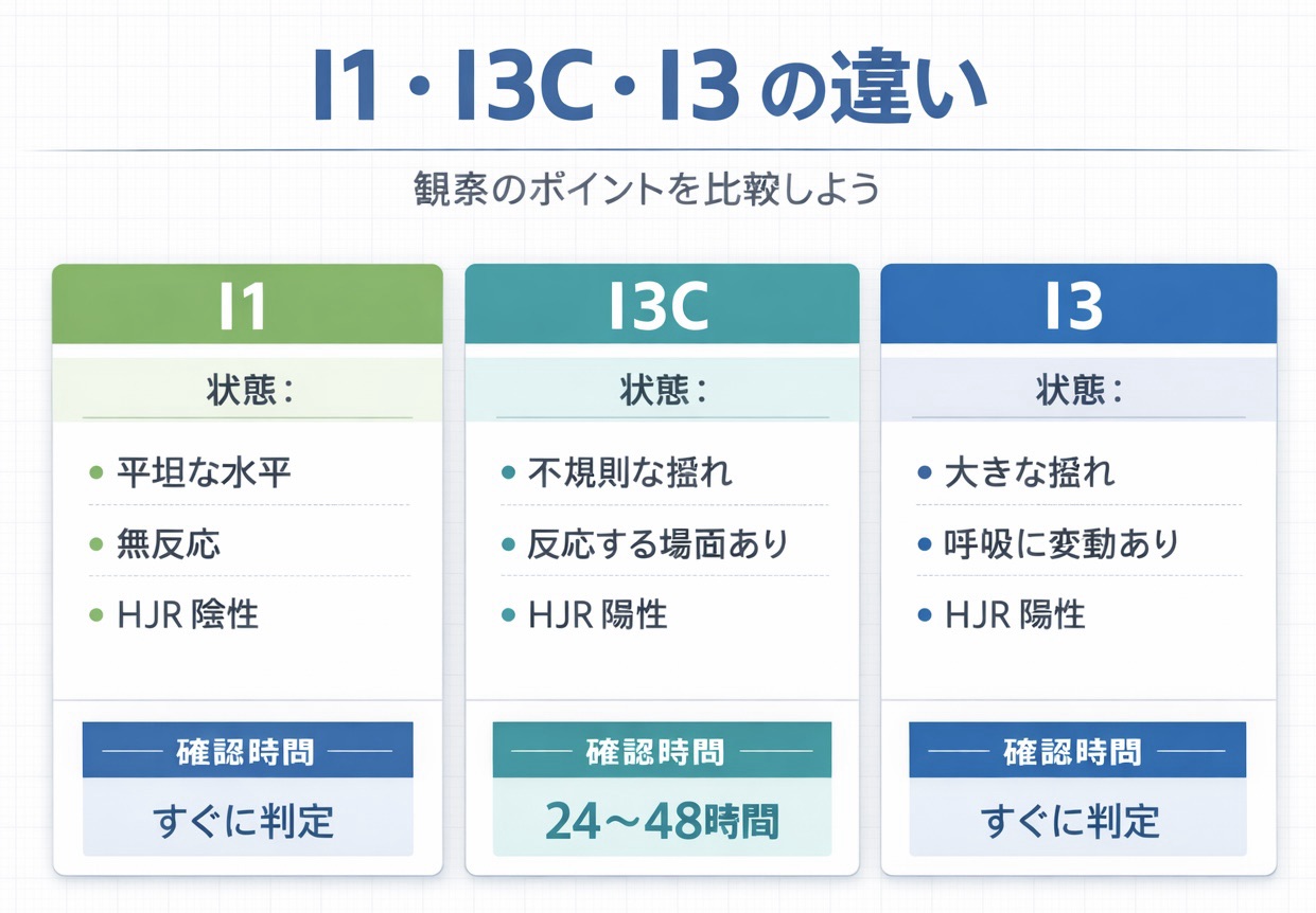I1・I3C・I3 の違いを比較した図版