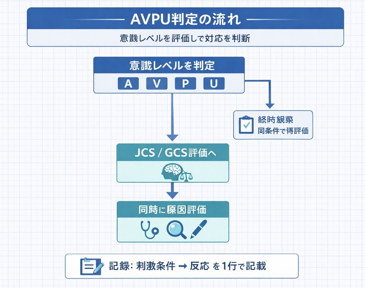 AVPU 判定の流れを整理した図版。意識レベルを A・V・P・U で判定し、A は経時観察、V・P・U は JCS / GCS 評価と原因評価へ進み、刺激条件と反応を 1 行で記録する流れを示す。
