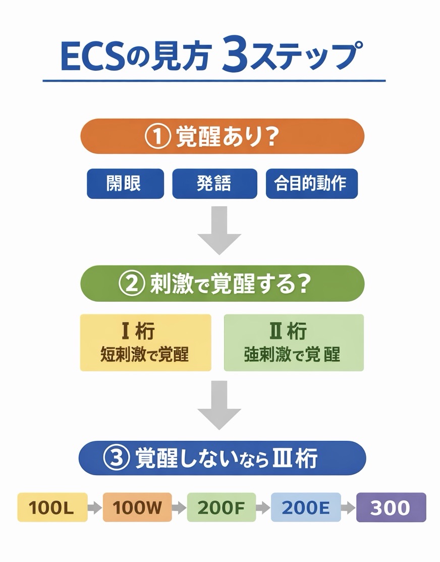ECS の見方 3 ステップをまとめた図版