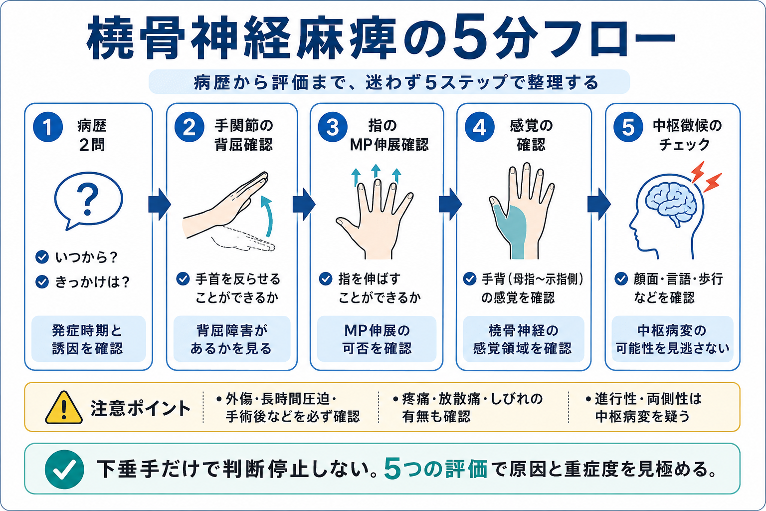 橈骨神経麻痺の5分フロー