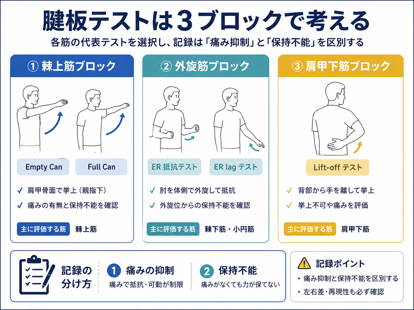 腱板テストを棘上筋・外旋筋・肩甲下筋の3ブロックで整理した図版