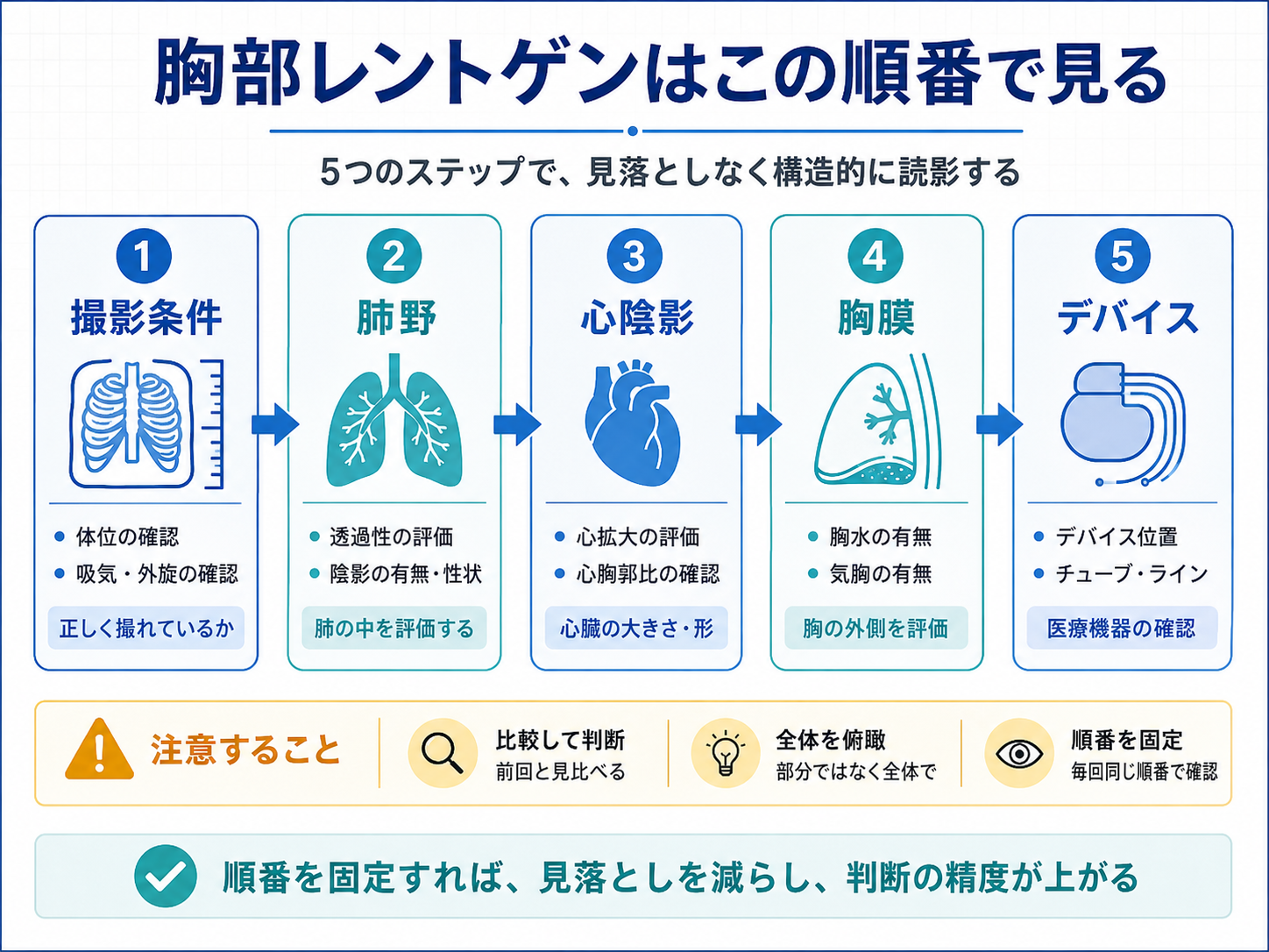 胸部レントゲンを読む順番を整理した新人 PT 向けフロー図