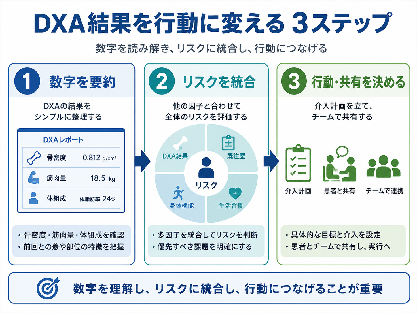 DXA結果を行動に変える3ステップの整理図