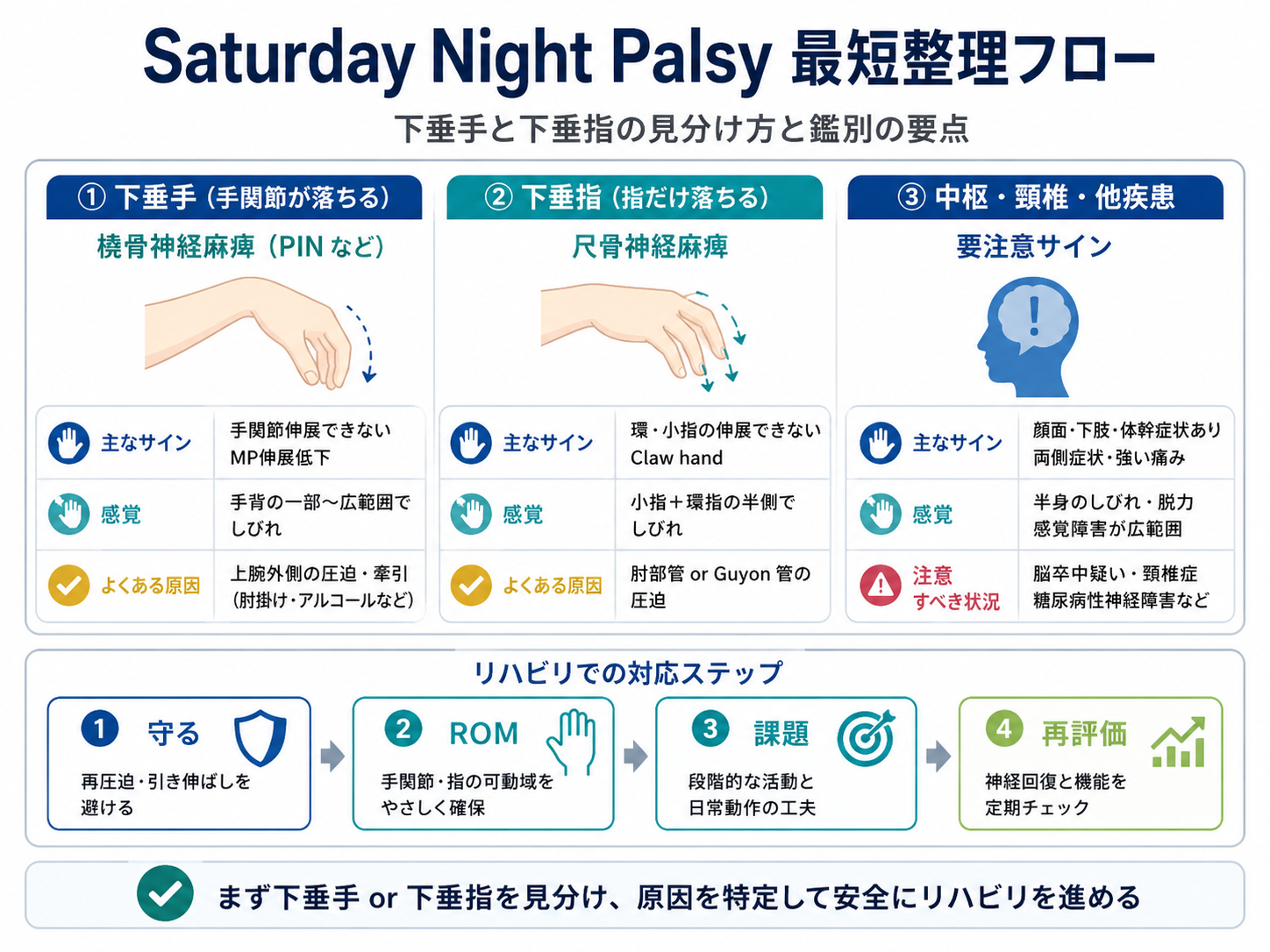 Saturday night palsy の下垂手・下垂指・中枢サインの見分け方とリハビリ対応ステップ