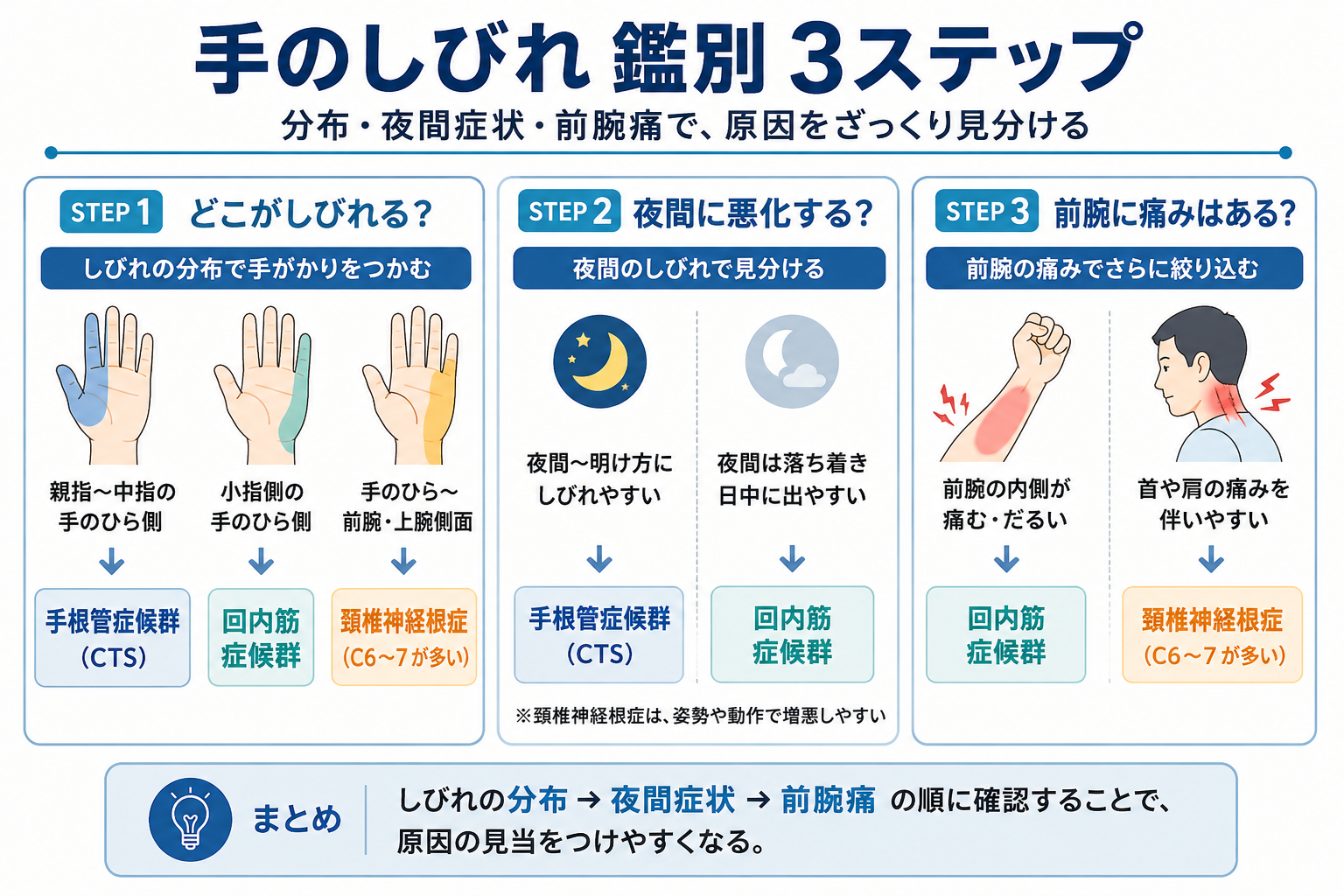 手のしびれ鑑別 3 ステップ：分布・夜間症状・前腕痛で CTS、回内筋症候群、頚椎神経根症を見分ける図