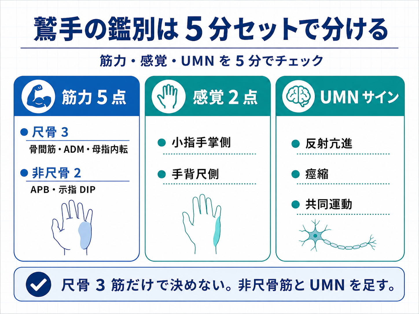 鷲手の鑑別は5分セットで分ける図版。筋力5点、感覚2点、UMNサインを整理。