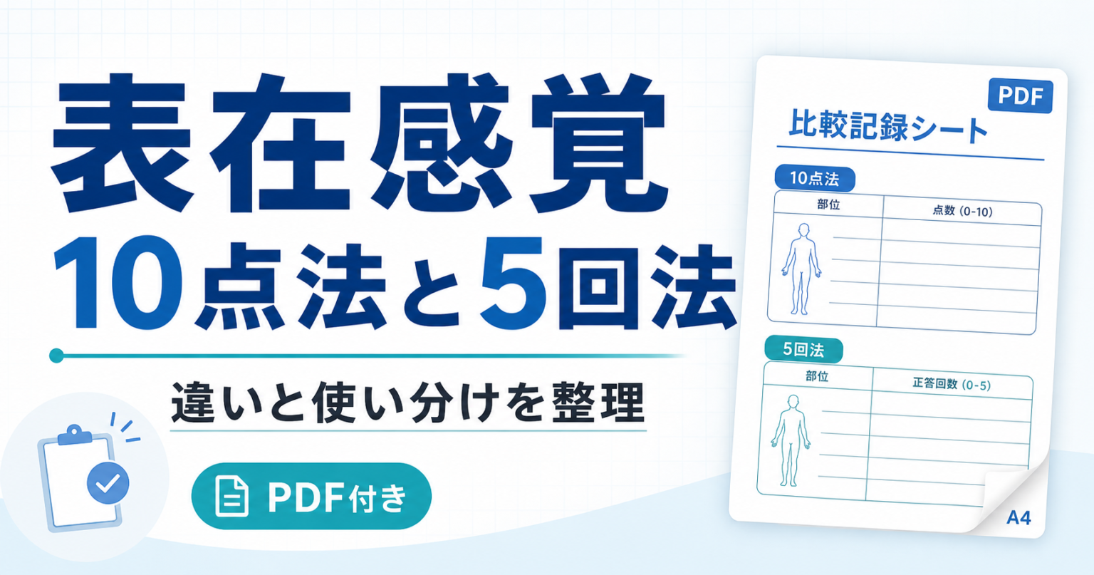 表在感覚10点法と5回法の違い【PDF付】 | rehabilikun