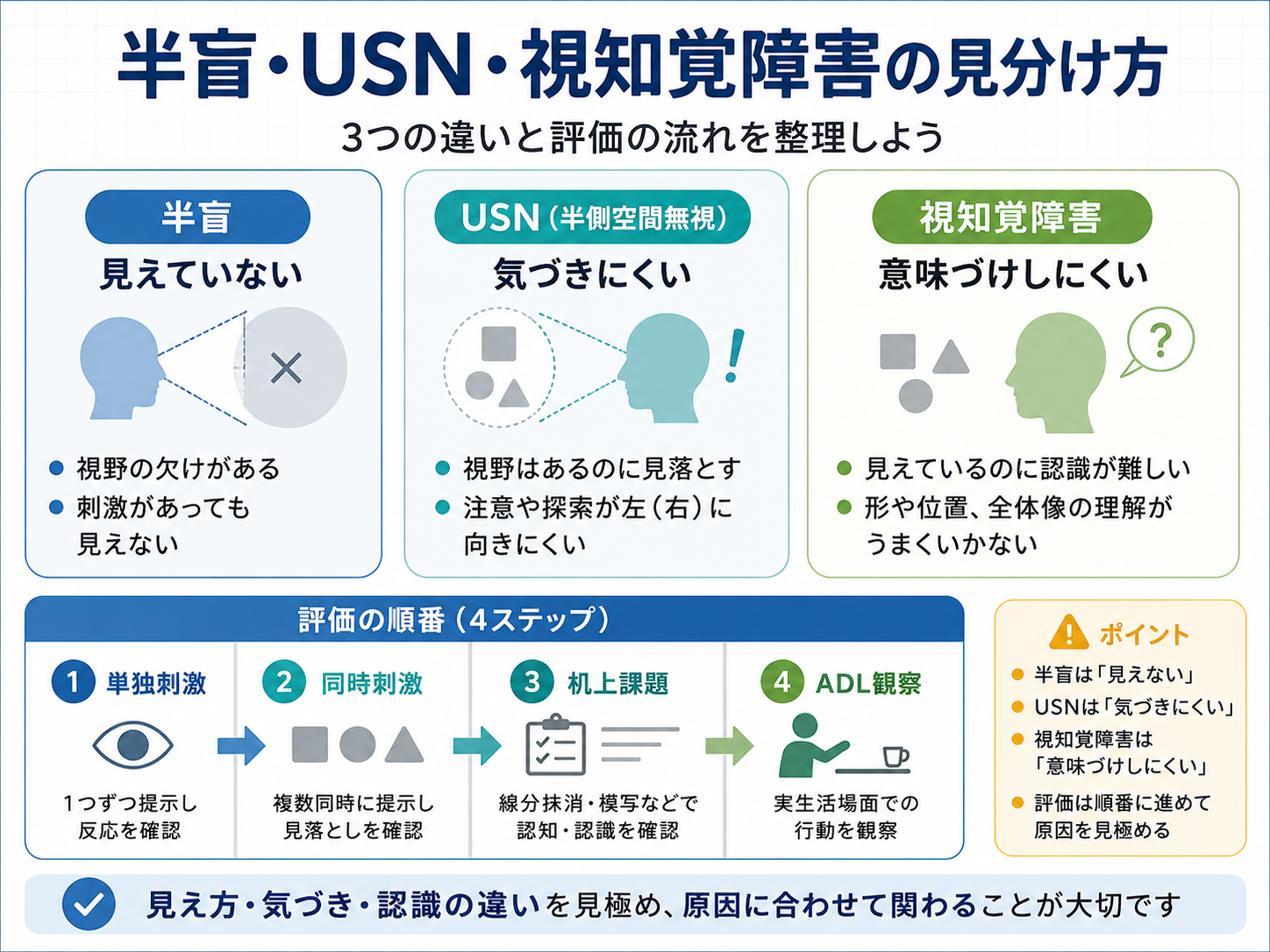 半盲・USN・視知覚障害の見分け方と評価の流れを整理した図版
