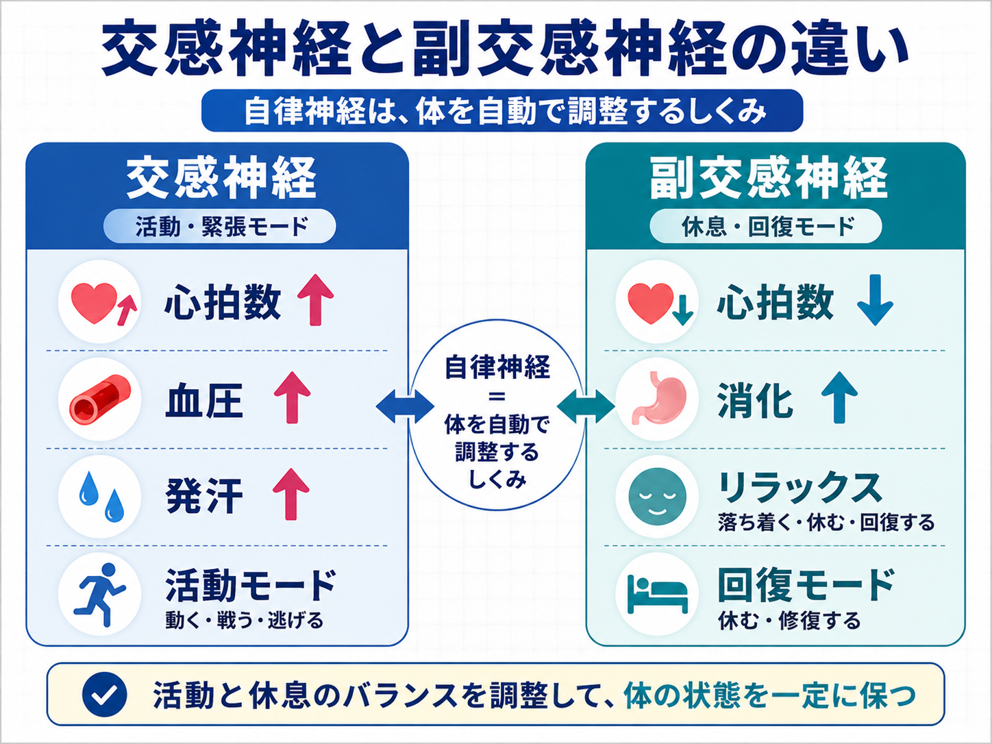 交感神経と副交感神経の違いを心拍数、血圧、発汗、消化、活動モード、回復モードで比較した図版