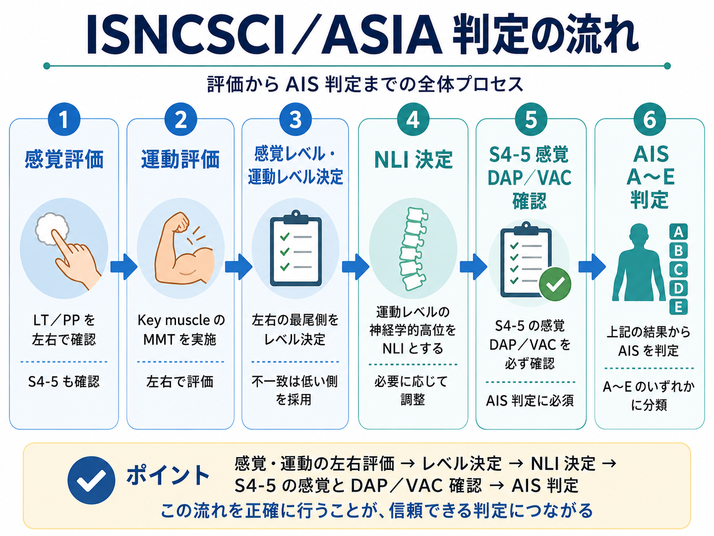 ISNCSCI ASIA の判定の流れを感覚評価からAIS判定まで整理した図版