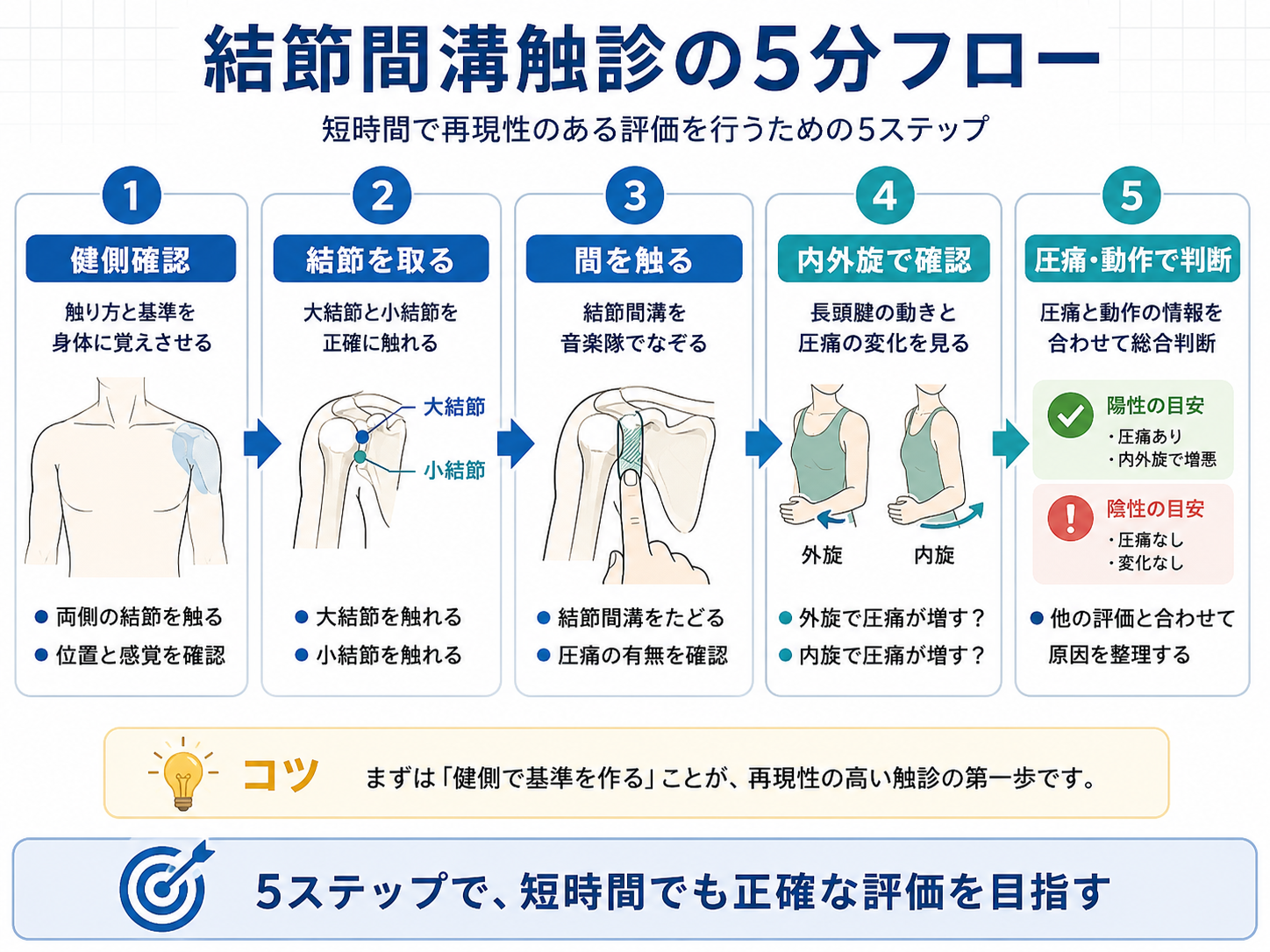 結節間溝触診の5分フローを示した図版
