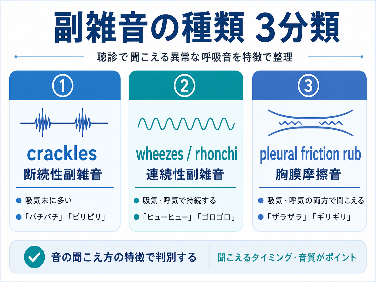 副雑音の種類を3分類で整理した図。crackles、wheezes/rhonchi、pleural friction rubの特徴を比較している。