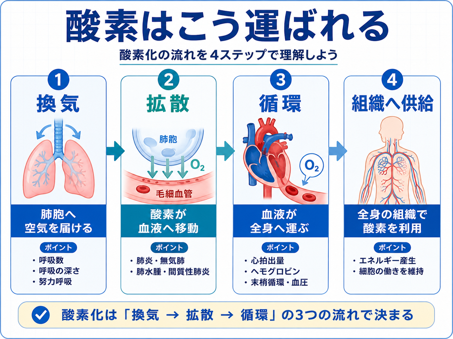 酸素が換気、拡散、循環、組織への供給の流れで運ばれる仕組みを整理した図版