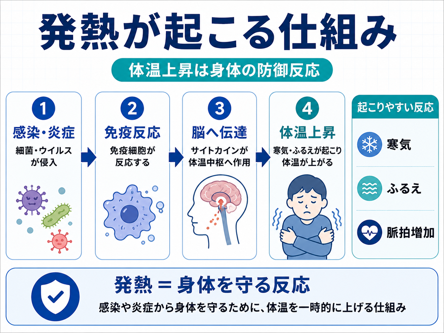 発熱が起こる仕組みを感染炎症、免疫反応、脳への伝達、体温上昇の流れで整理した図版