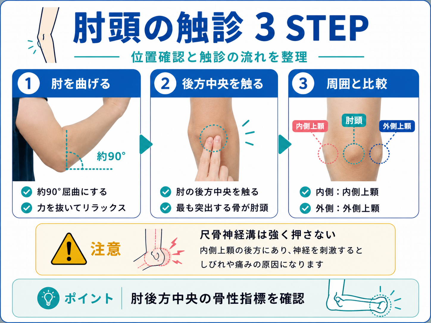 肘頭の位置と触診3STEPを示した図版