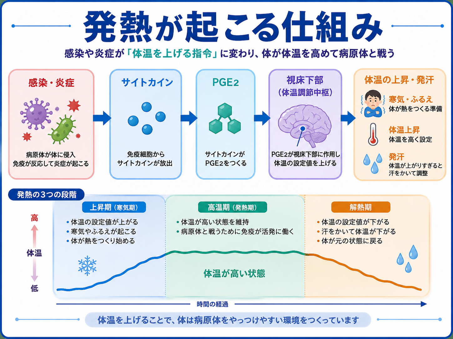 発熱が起こる仕組みを感染・炎症、サイトカイン、PGE2、視床下部、体温上昇と発汗の流れで示した図