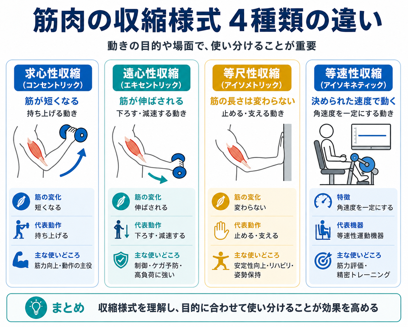 求心性収縮・遠心性収縮・等尺性収縮・等速性収縮の違いを動作例で比較した図