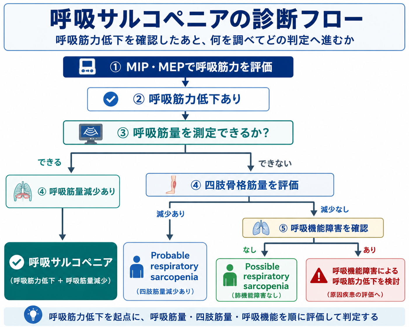 呼吸筋力低下を起点に、呼吸筋量、四肢骨格筋量、呼吸機能を評価する呼吸サルコペニアの診断フロー