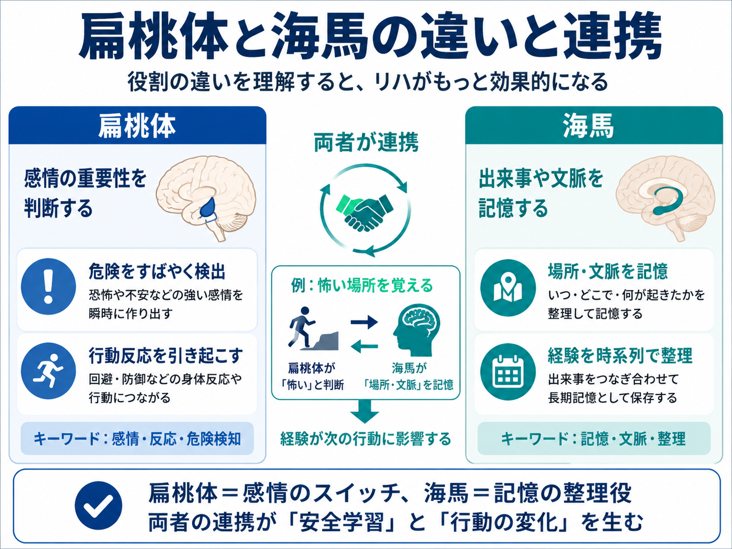 扁桃体と海馬の違いと連携を整理した図。扁桃体は感情の重要性や危険を判断し、海馬は出来事や場所、文脈を記憶することを示している。