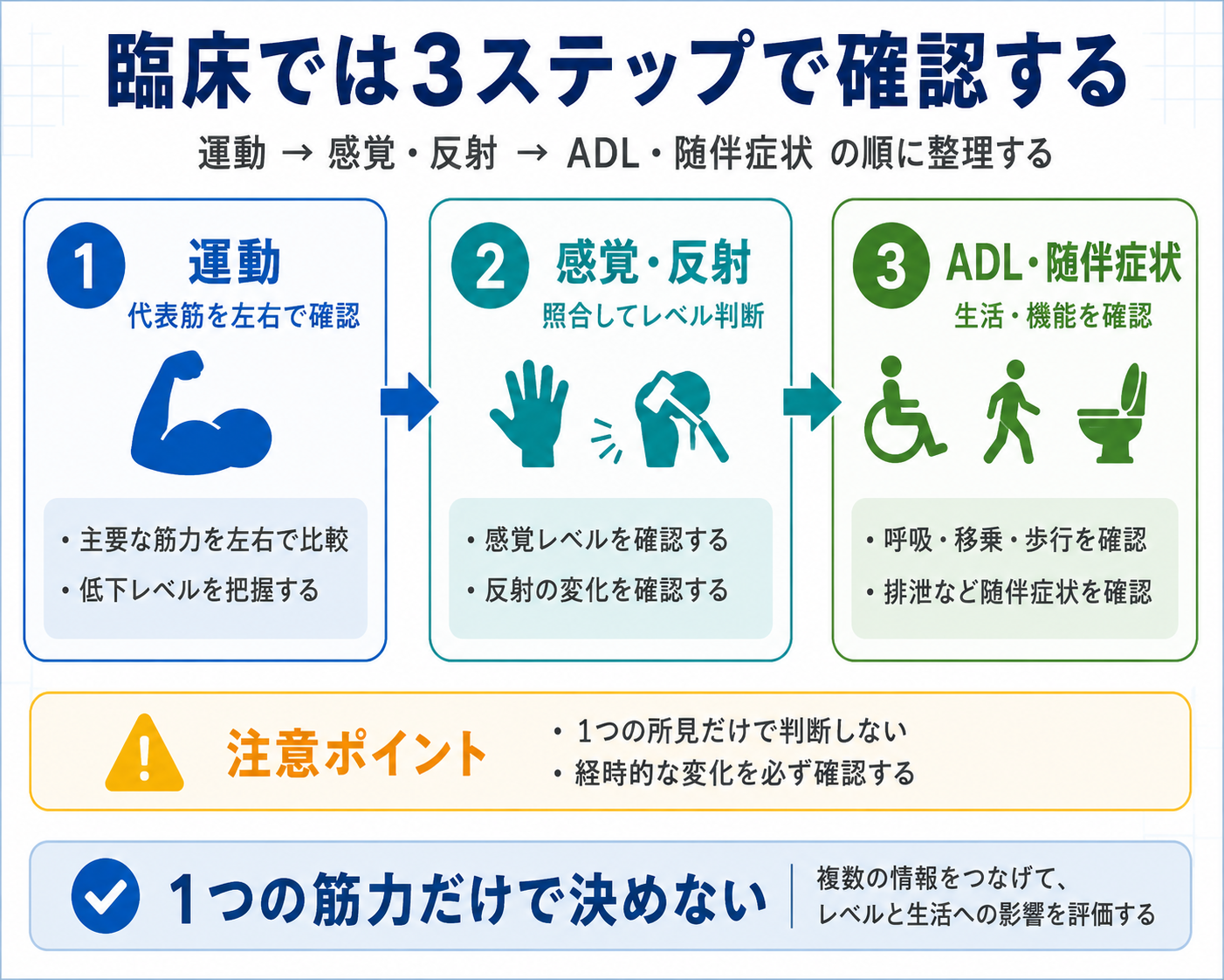 脊髄レベルを臨床で確認する3ステップ。運動、感覚・反射、ADL・随伴症状の順に評価する流れ