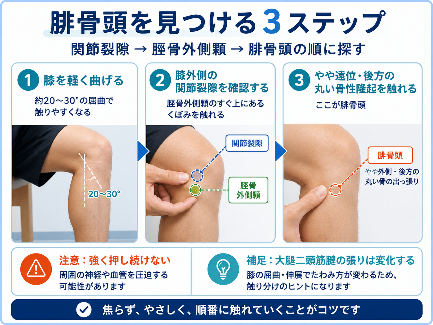 腓骨頭を見つける3ステップと触診時の注意点を示した図版