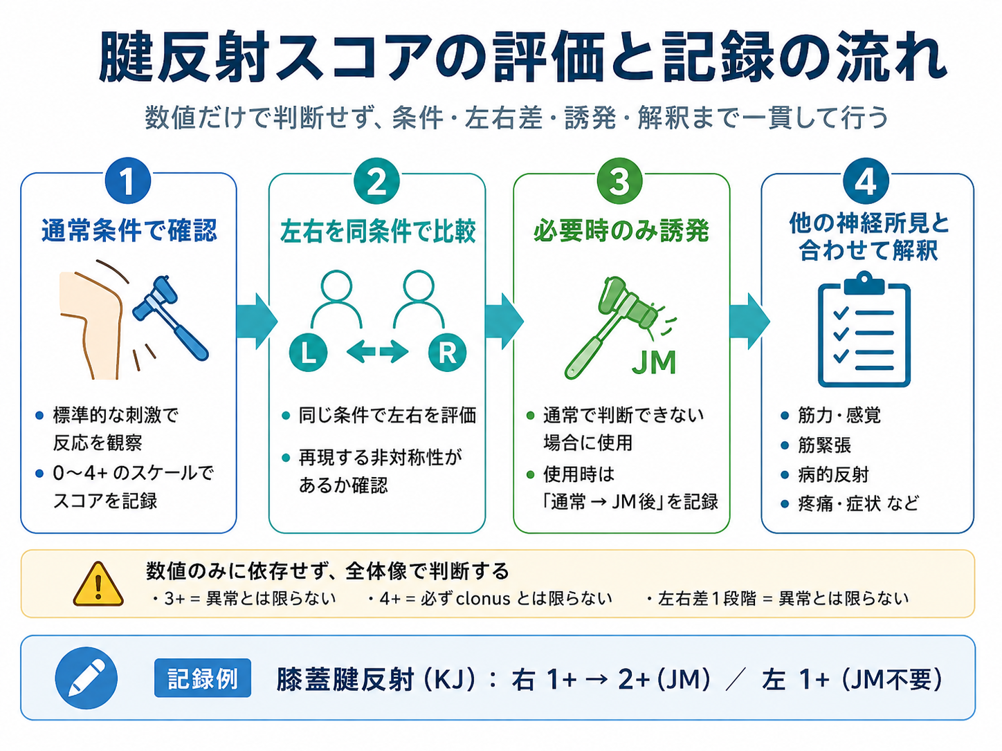 腱反射スコアを通常条件で確認し、左右比較、必要時の誘発、他の神経所見との解釈へ進む記録の流れ