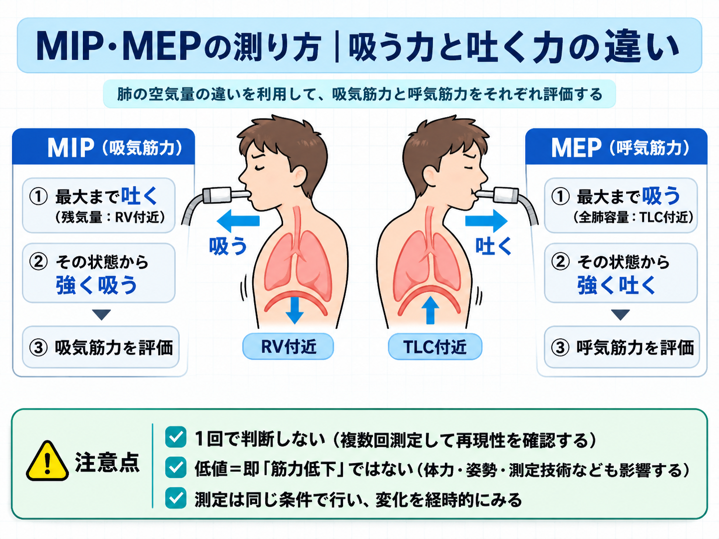 MIPとMEPの測り方。MIPは最大まで吐いてRV付近から強く吸い、MEPは最大まで吸ってTLC付近から強く吐く