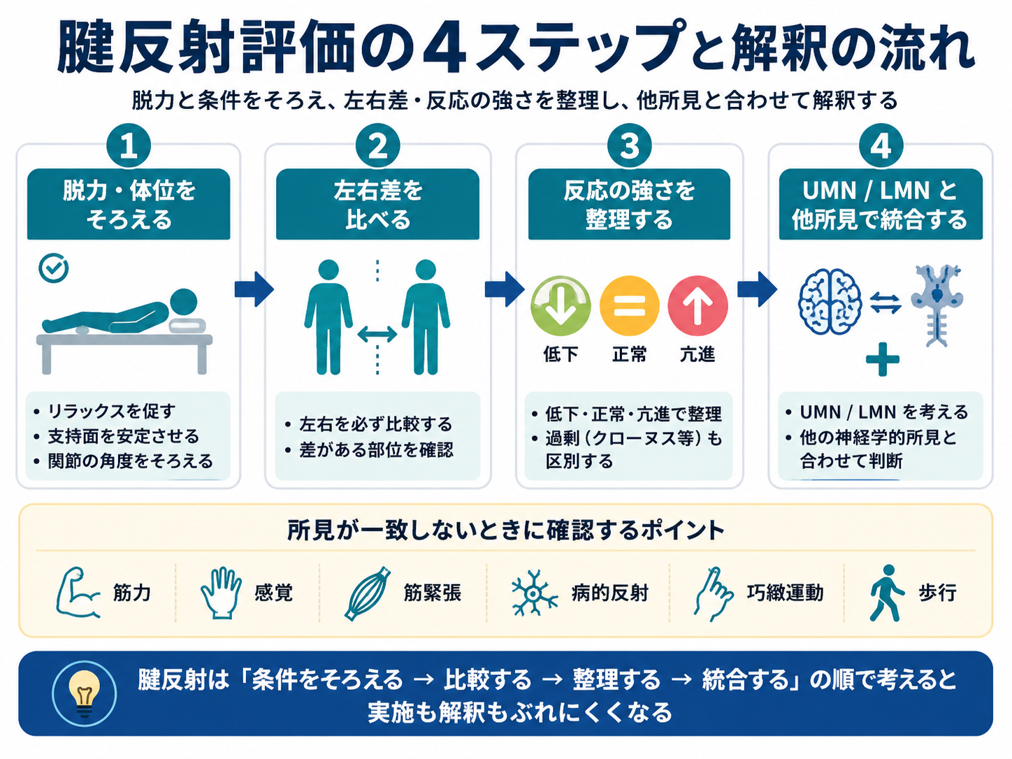 腱反射評価の4ステップと所見が一致しないときの確認ポイントをまとめた図版