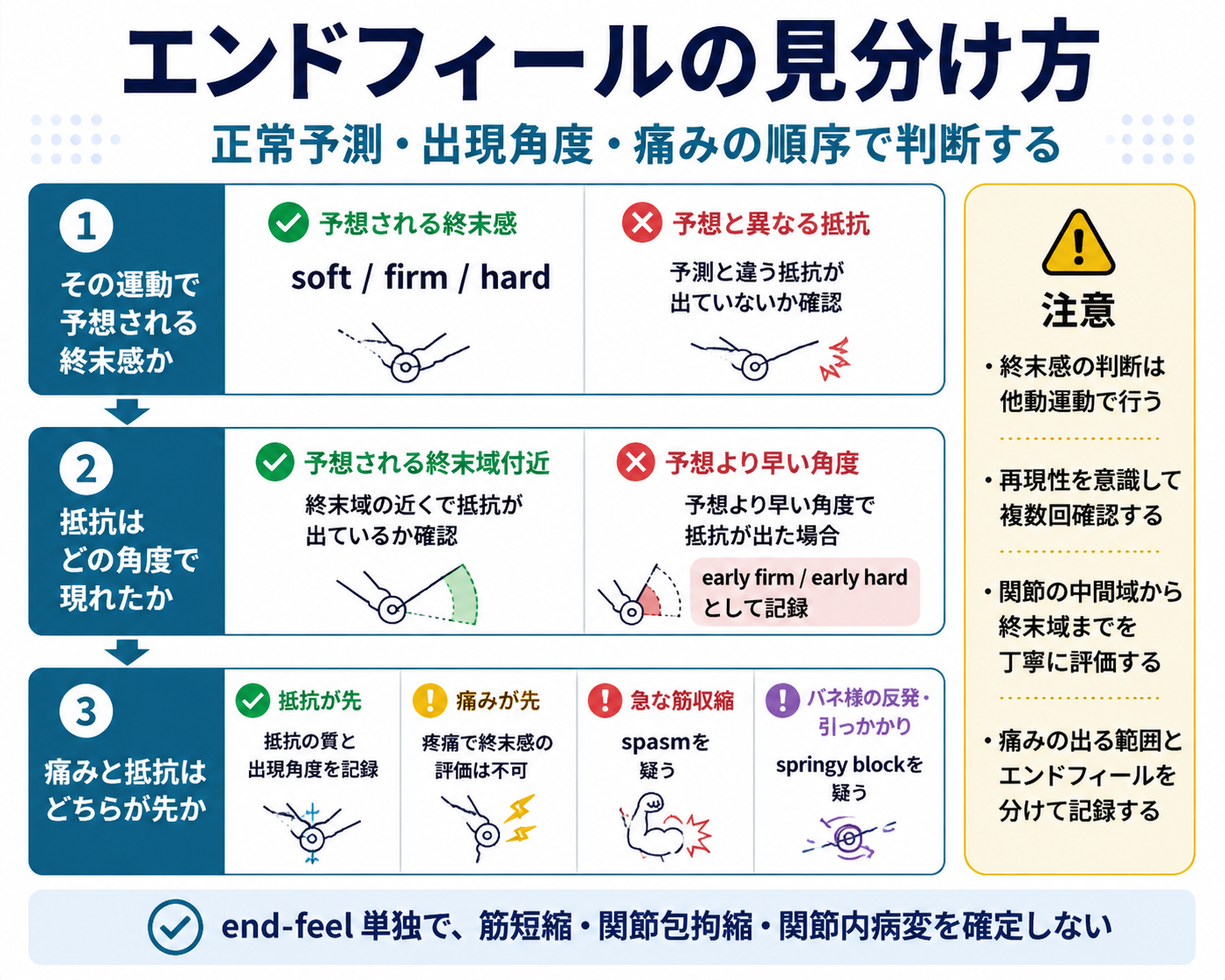 エンドフィールを正常予測、抵抗が現れる角度、痛みと抵抗の順序から見分ける3ステップ