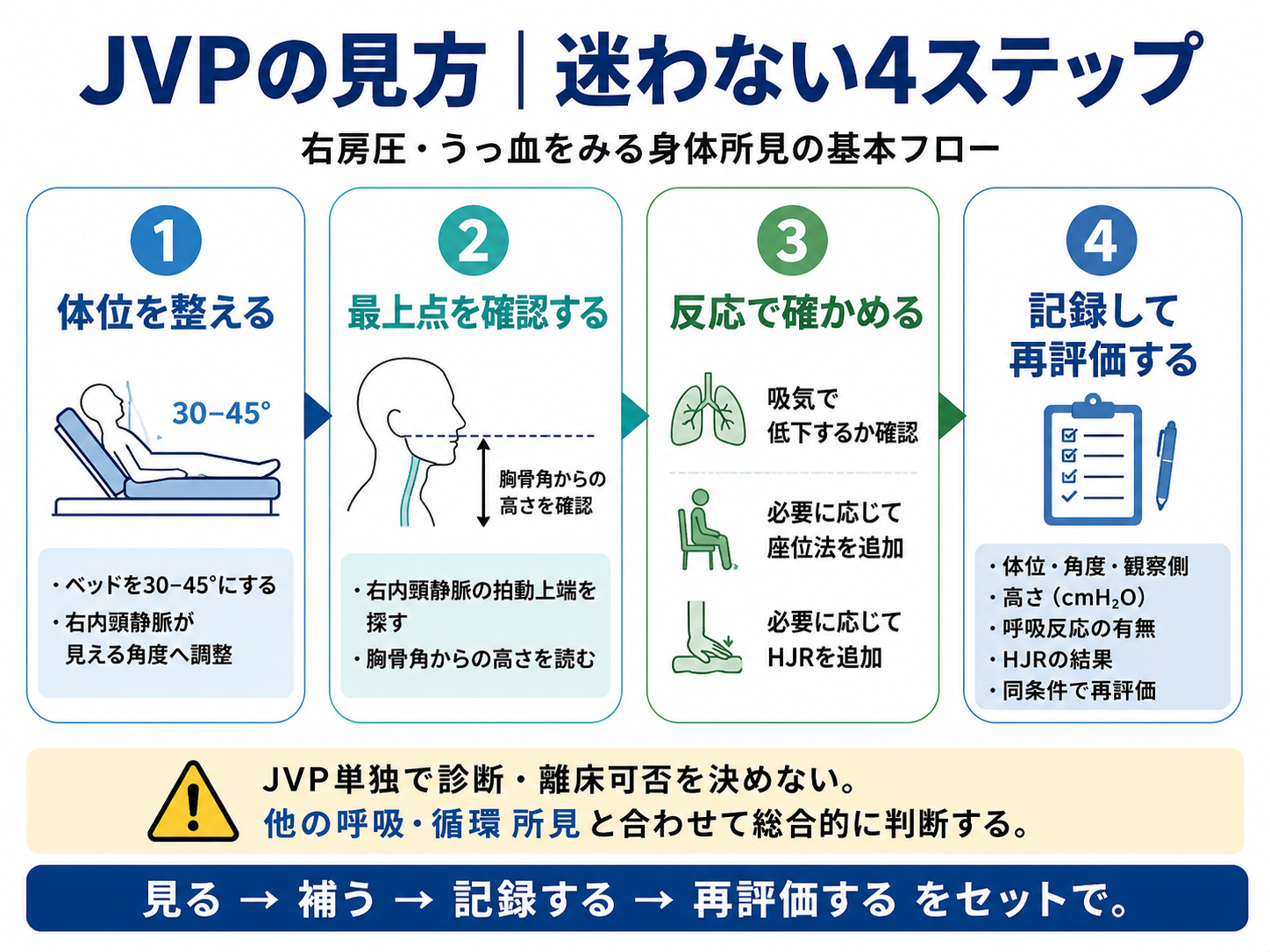 JVPの見方を体位調整、最上点の確認、反応の確認、記録と再評価の4ステップで整理した図版