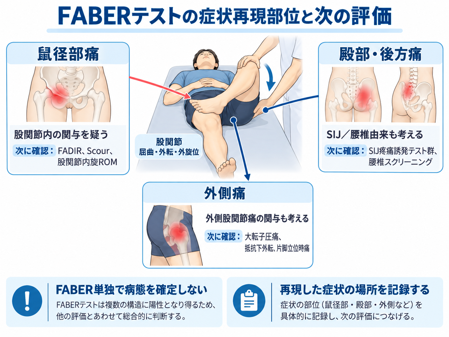 FABERテストで鼠径部痛・殿部後方痛・外側痛が再現した場合に次に確認する評価を整理した図