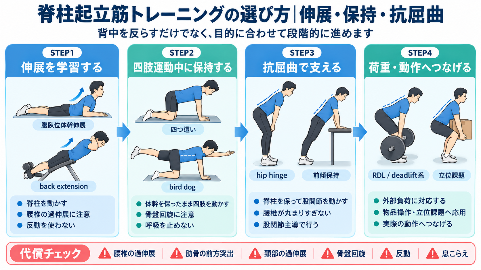 脊柱起立筋トレーニングを伸展、四肢運動中の保持、抗屈曲、荷重・動作の4段階で示した図