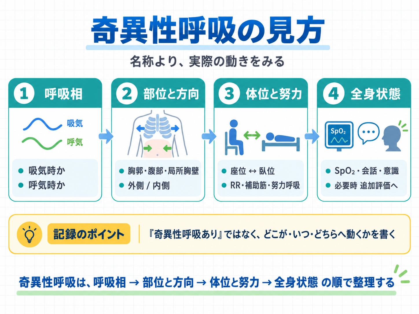 奇異性呼吸の見方。呼吸相、胸郭・腹部の部位と動く方向、座位と臥位での変化や呼吸努力、SpO2・会話・意識など全身状態を4段階で確認する流れ